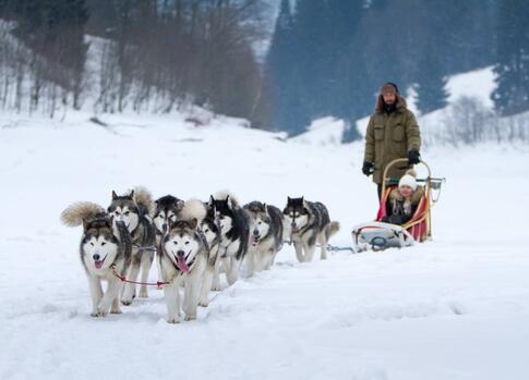 Mushing Oto Kelemen