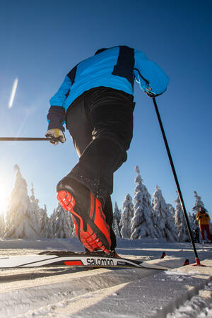 SkiResort - běžky